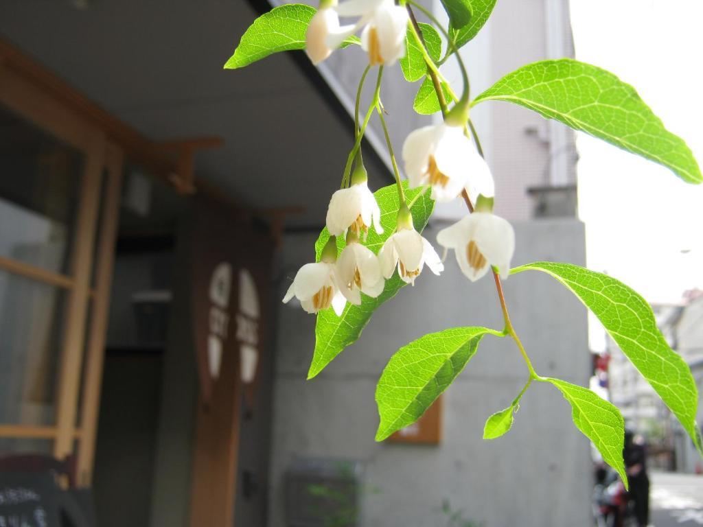 Guesthouse Hyakumanben Cross Kyoto Exteriör bild